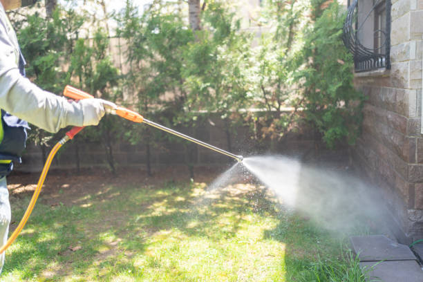 Best Outdoor Pest Control  in Armada, MI